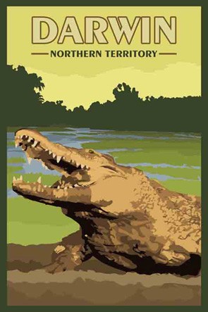  3150 Crocodile Darwin NT