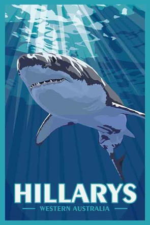 3161 Shark Hillarys