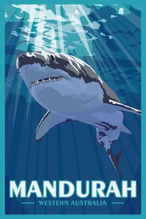 3162 Shark Mandurah