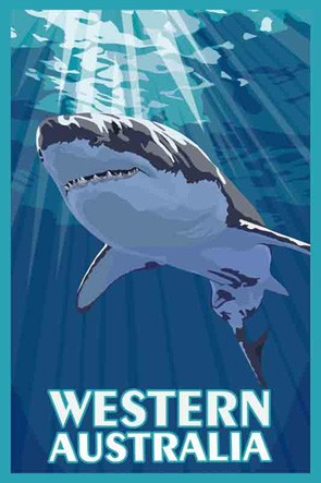 3164 Shark WA