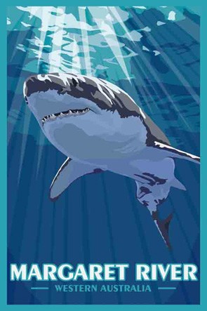 3166 Shark Margaret Rive