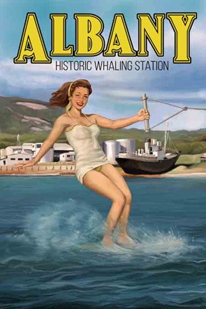 3384 Waterski Albany Discovery