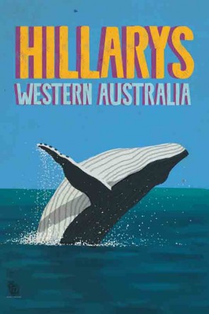 3510 Humpback Jumper Hillarys