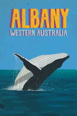 3511 Humpback Jumper Albany