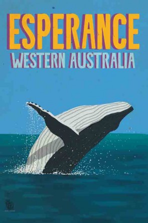 3513 Humpback Jumper Esperance