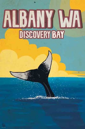 3522 Whale Tail Albany Discovery