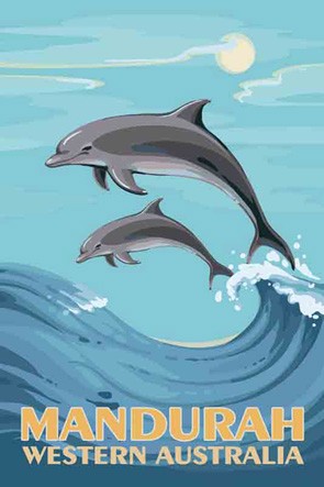 3570 Dolphins Mandurah