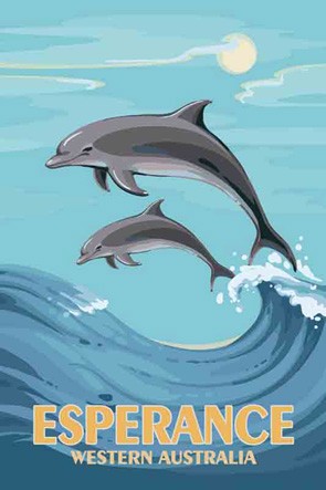 3572 Dolphins Mother Calf Esperance