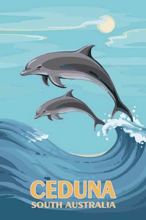 3573 Dolphins Mother Calf Ceduna SA