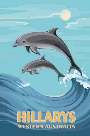 3574 Dolphins Hillarys