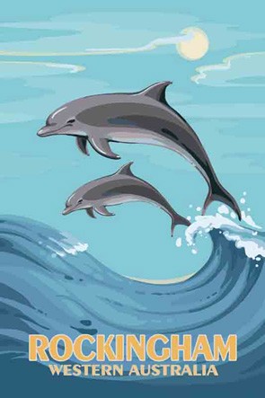 3576 Dolphins Rockingham
