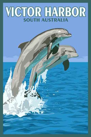 3584 Dolphins Victor Harbor