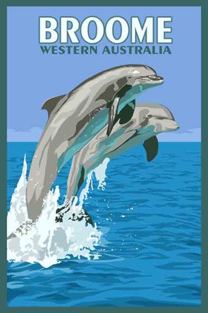 3586 Dolphins Broome WA