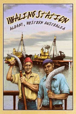 3600 Whalers Albany