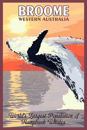 3612 Breaching Whale Broome WA
