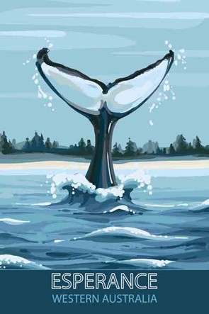 3710 Whale Tail 2 Esperance