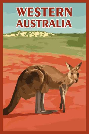 37303 Kangaroo Western Australia