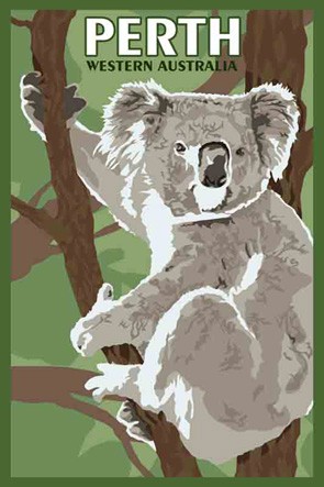 37402 Koala Perth WA