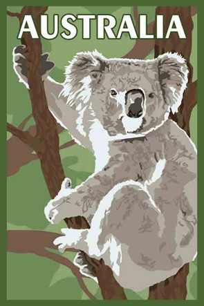 37403 Koala Australia