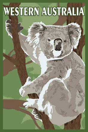 37407 Koala Western Australia