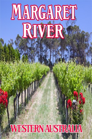 37600 Vines Photo Margaret River
