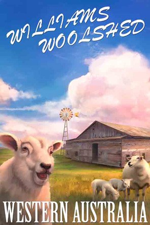 39200 Sheep in front of Shed Williams