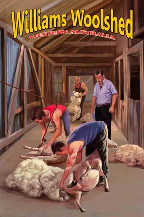 39300 Shearing Williams Woolshed