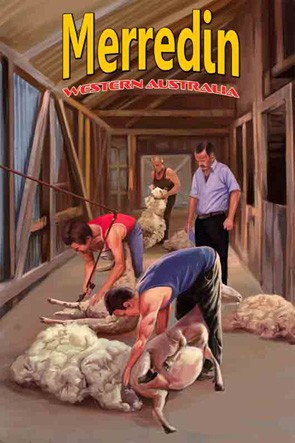 39301 Shearing Merredin Woolshed