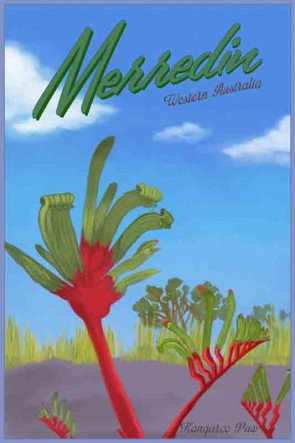 40002 Kangaroo Paw Merredin WA