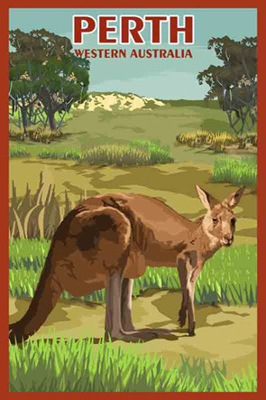 40101 Kangaroo Perth WA