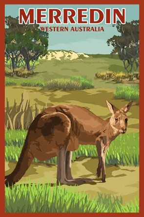 40102 Kangaroo Merredin WA