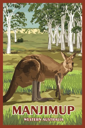 40103 Kangaroo in Bush Pemberton WA
