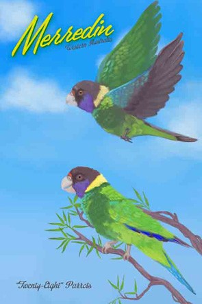 40700 28 Parrots Merredin
