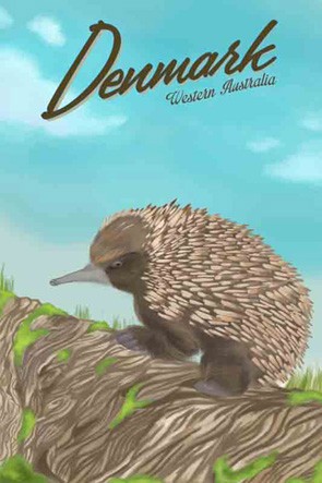 41000 Echidna Denmark WA