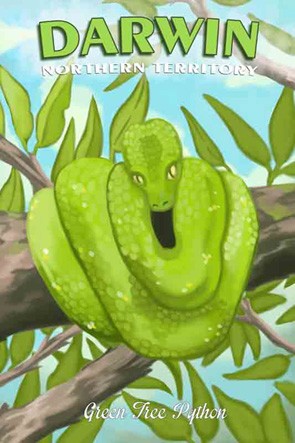  44500 Green Tree Python Darwin NT