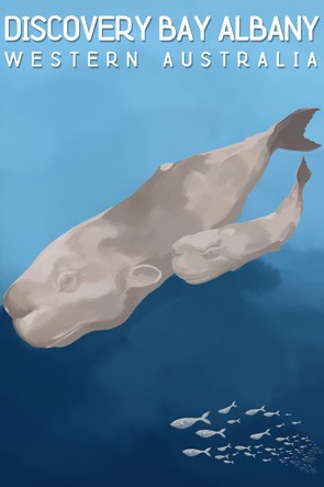 46500 Whale and Calf Albany WA