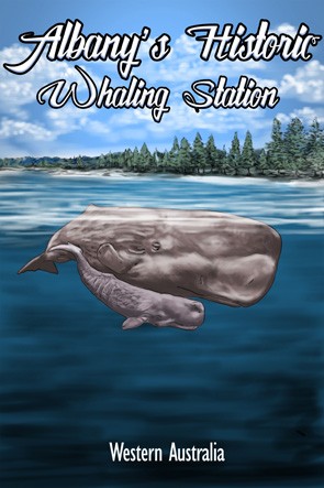 47800 Whale Mother and Calf Discovery Bay Albany WA
