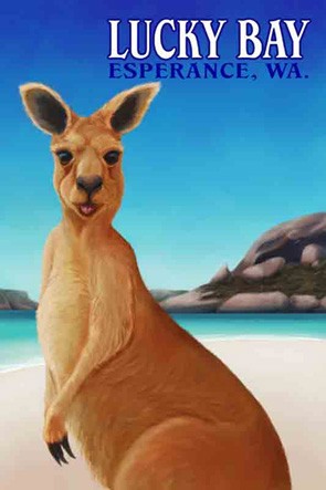 3700 Beach Kangaroo Esperance